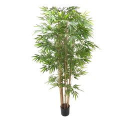 Pianta di Bamboo ornamentale 230 cm. 2480 foglie