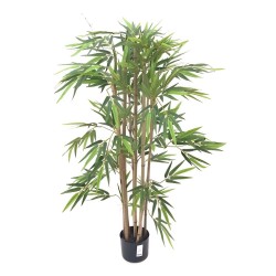 Pianta di Bamboo ornamentale 140 cm. 560 foglie