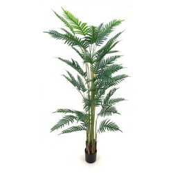 Pianta ornamentale Palma Areca 180 cm. con vaso