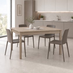 Tavolo allungabile FIRENZE 120x80 olmo